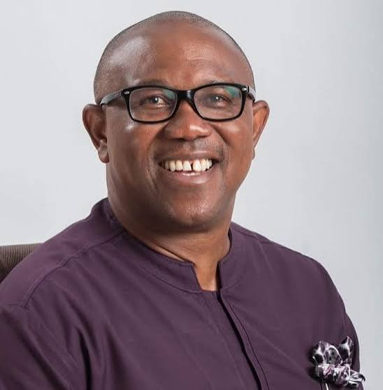 Peter Obi destroyed APGA, resist him, Anambra tells electorate